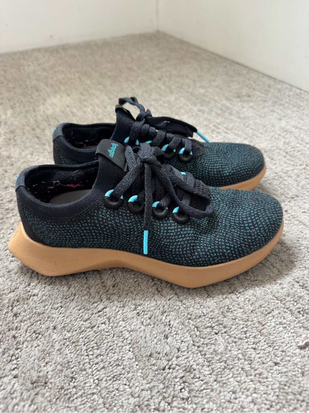 Allbirds Wool Dasher shoes